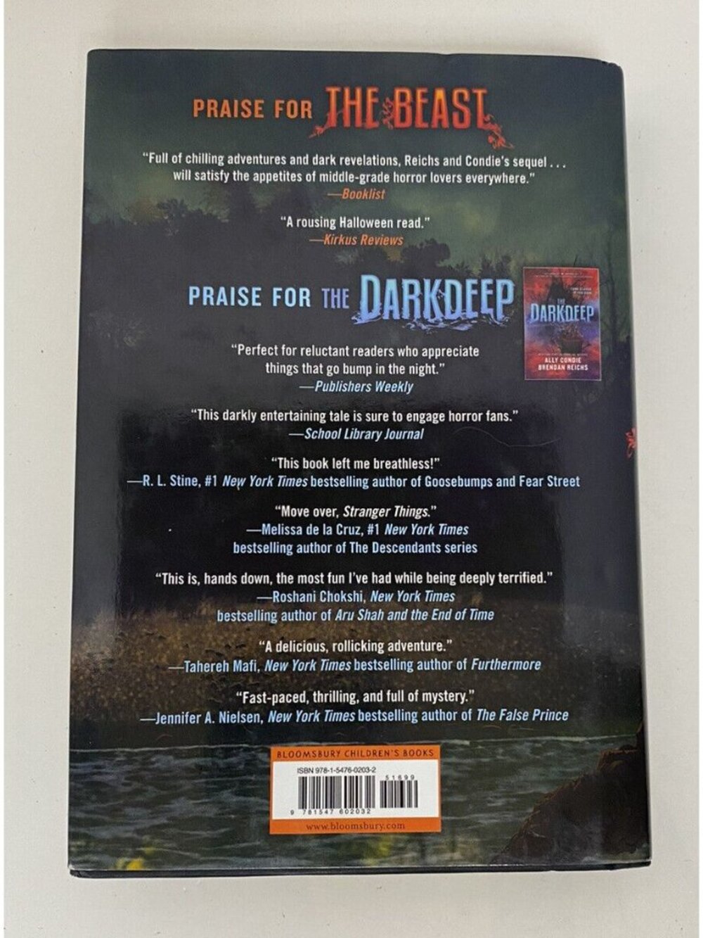 The Beast (The Darkdeep) Ally Connie  SIGNED by Author - Picture 5 of 9